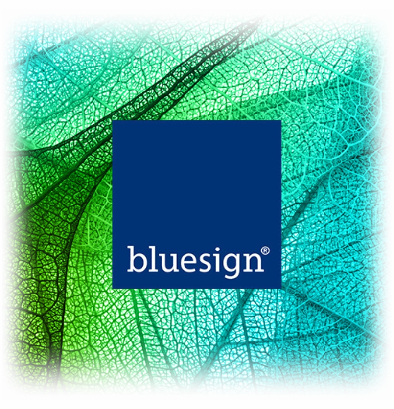 Smark Chemicals International