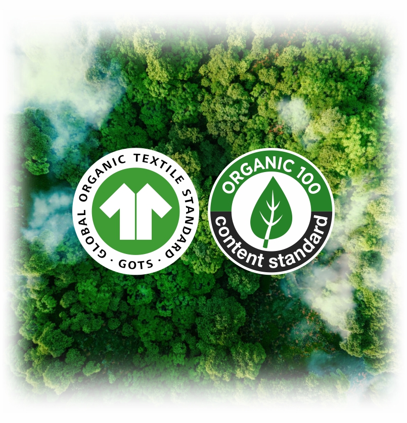 Smark Chemicals International